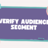 Verify Audience Segment